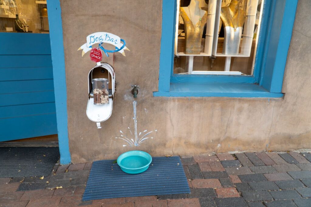 屋外に設置された犬用の水飲み場。犬の給水器は維持費が毎月かかる