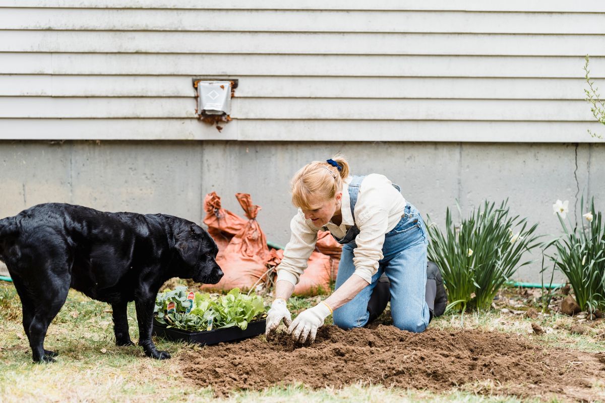 庭仕事のそばにいる犬。人がいる時間といない時間で条件が変わる