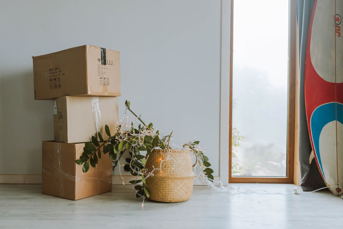 居間に置かれた段ボール箱と観葉植物。部屋に大きなものが増えた状態