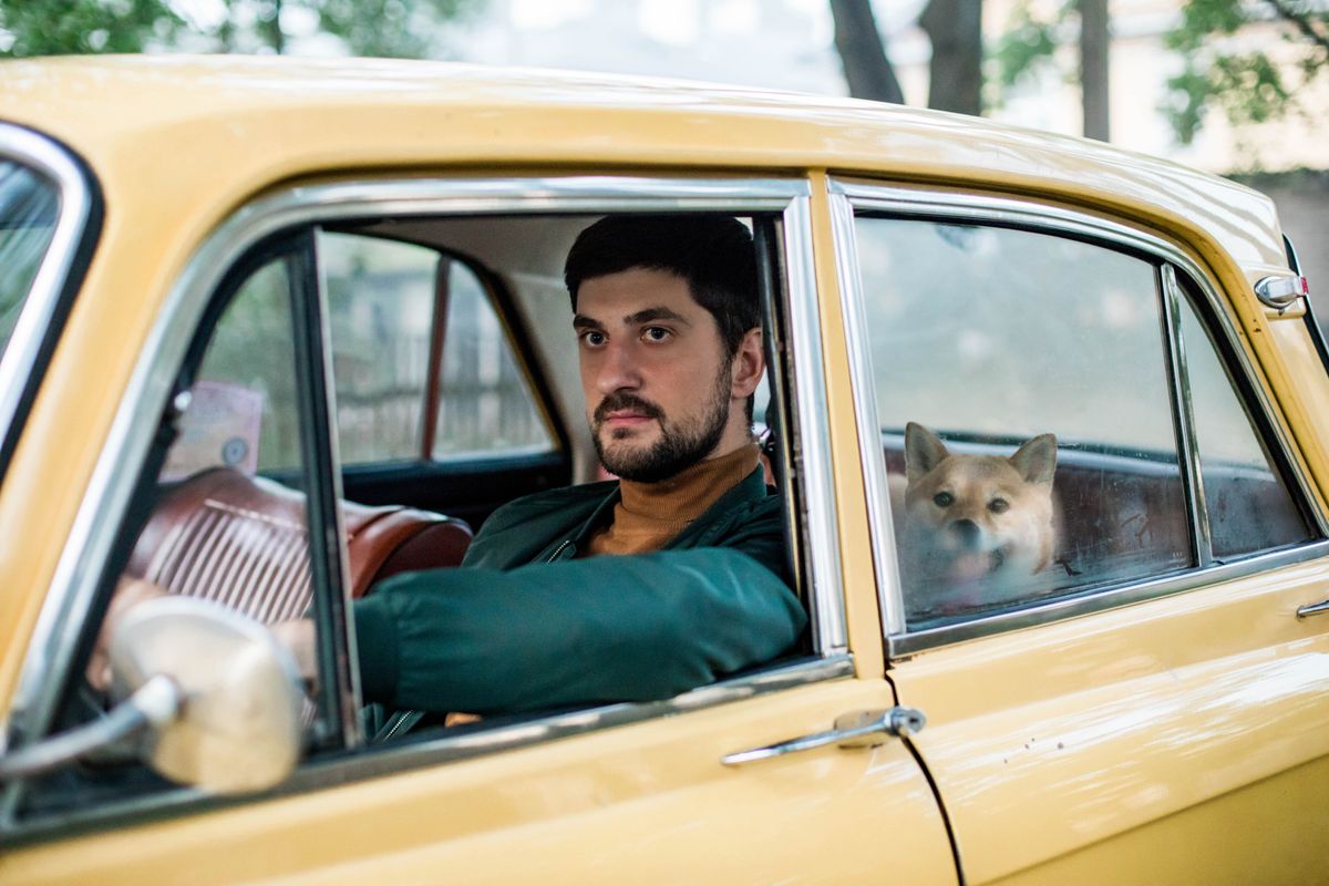 後部座席に犬を乗せて走っている車
