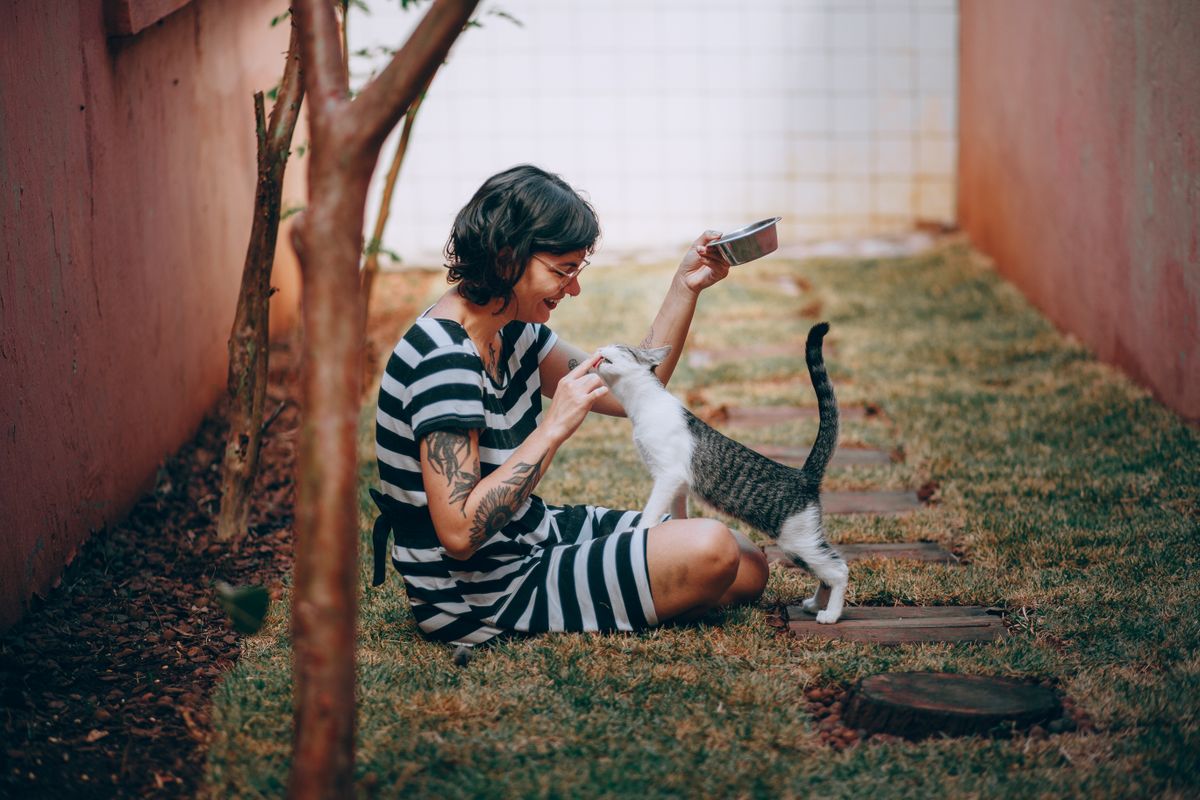 外で猫と過ごしている人