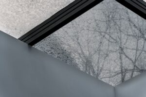 冬の窓辺