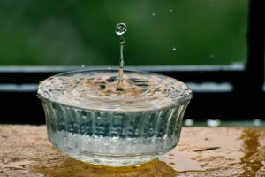 水の入った器