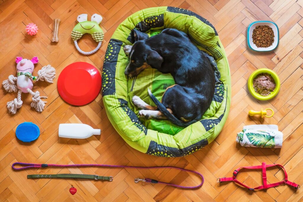 床に置かれたベッドと、そのまわりに並ぶ犬の用品。使う場所に物が集まる