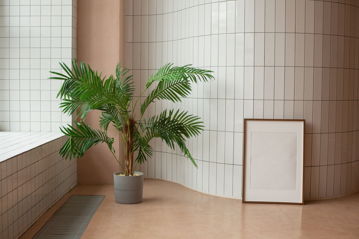 観葉植物の置かれた部屋の一角