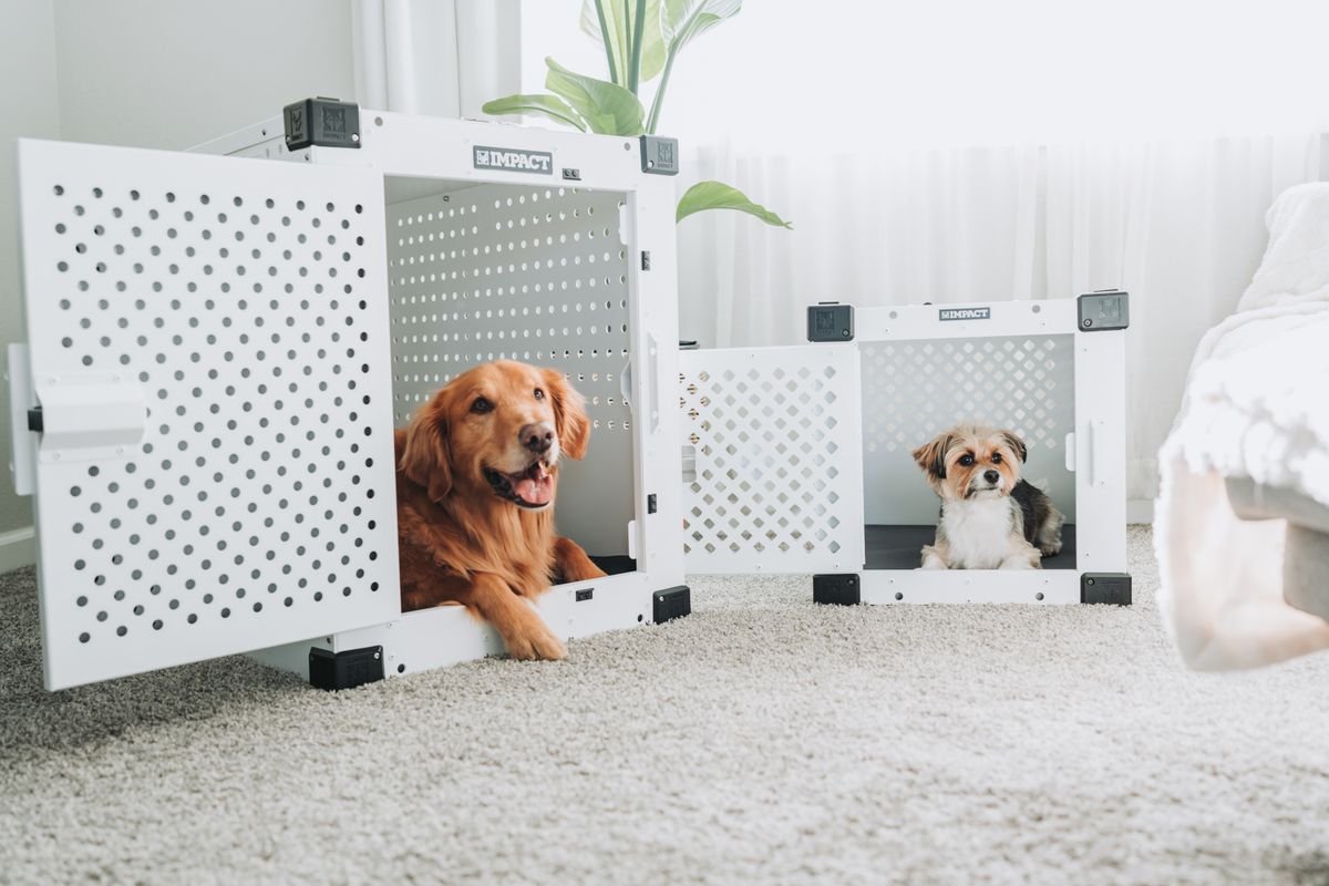 室内に置かれた犬用のケージと、そのなかでくつろぐ犬。トレーは置き場所とセットで決まる