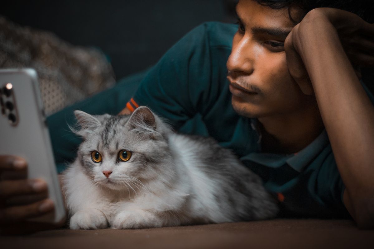 猫と一緒にスマートフォンを見る飼い主。外出先から設定を変えられるかが判断の分かれ目